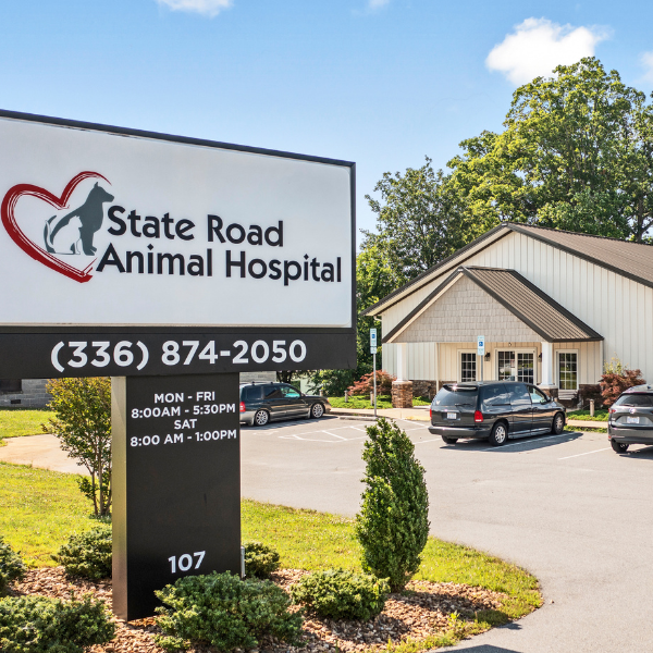 State Road Animal Hospital sign