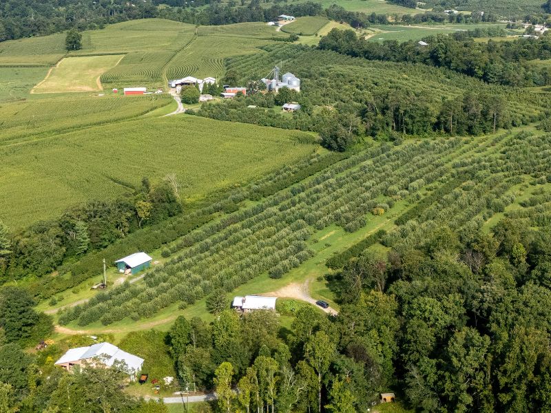 North Carolina Farmland North Carolina Farmland