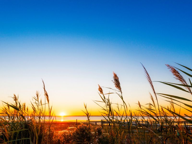 North Carolina sunset North Carolina sunset