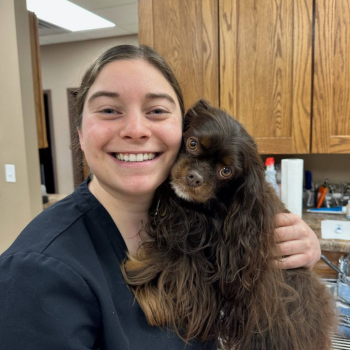 vet staff affectionately holding a dog