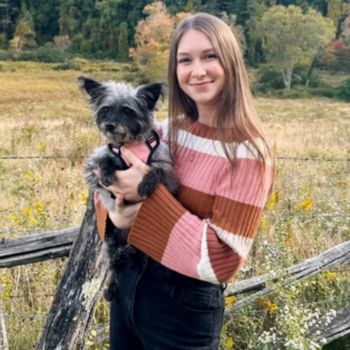 vet staff holding a dog